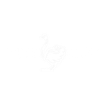 OSTRICHBRAILLE