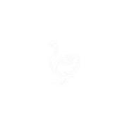 OSTRICHBRAILLE